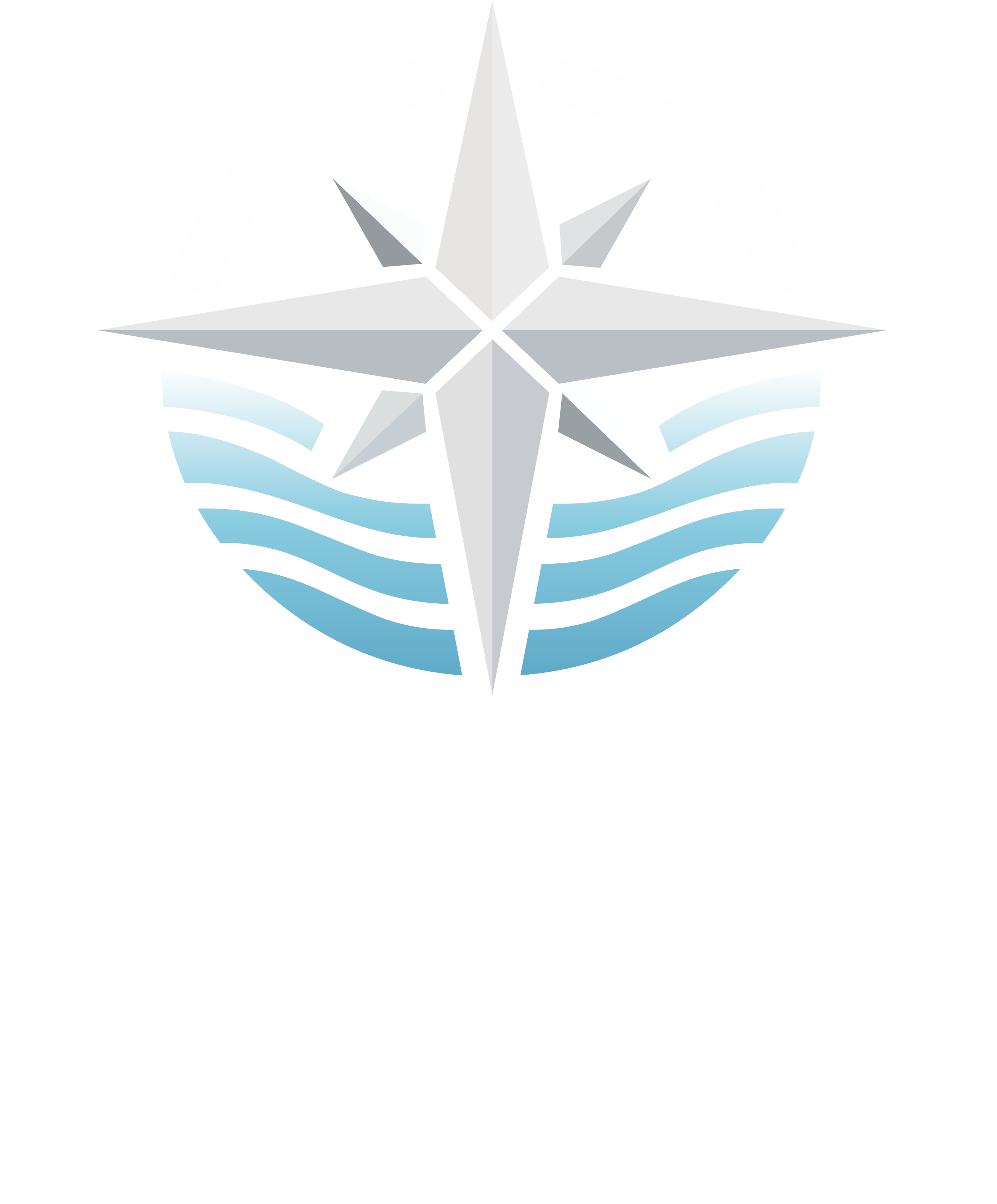 Logo der Digital Solutions NF